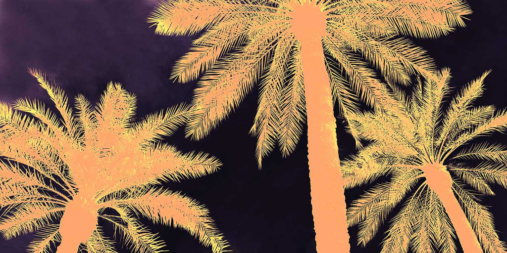 palm tree artwork