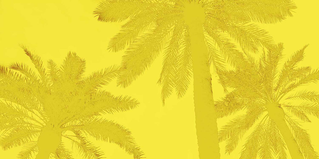 Yellow Palm Tree Art