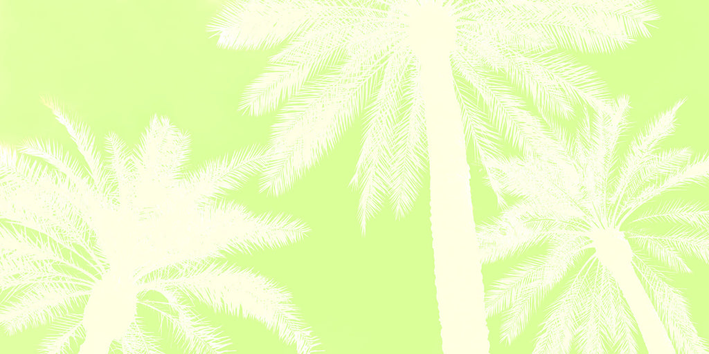 fine art palm tree art