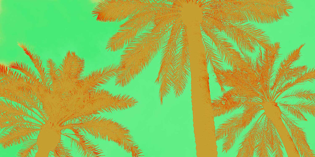 graphic palm tree art print